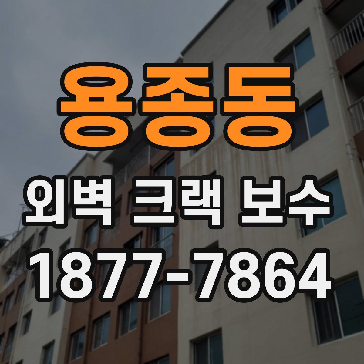 용종동 외벽 크랙 보수