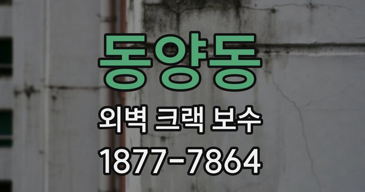 동양동 외벽 크랙 보수