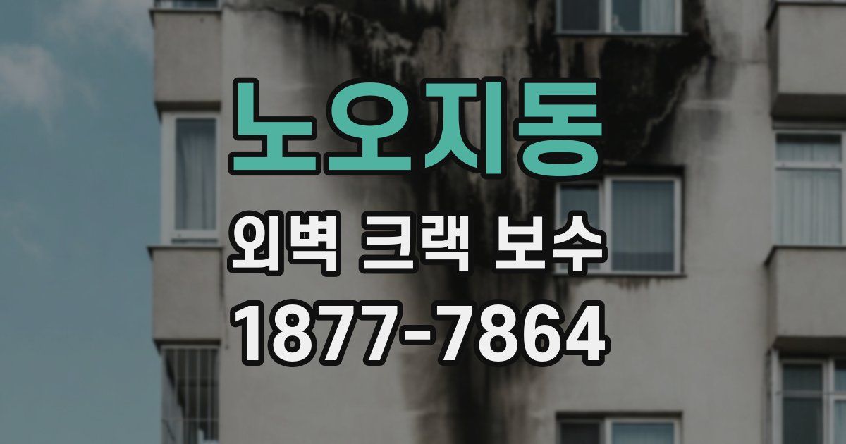 노오지동 외벽 크랙 보수