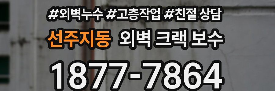 선주지동 외벽 크랙 보수