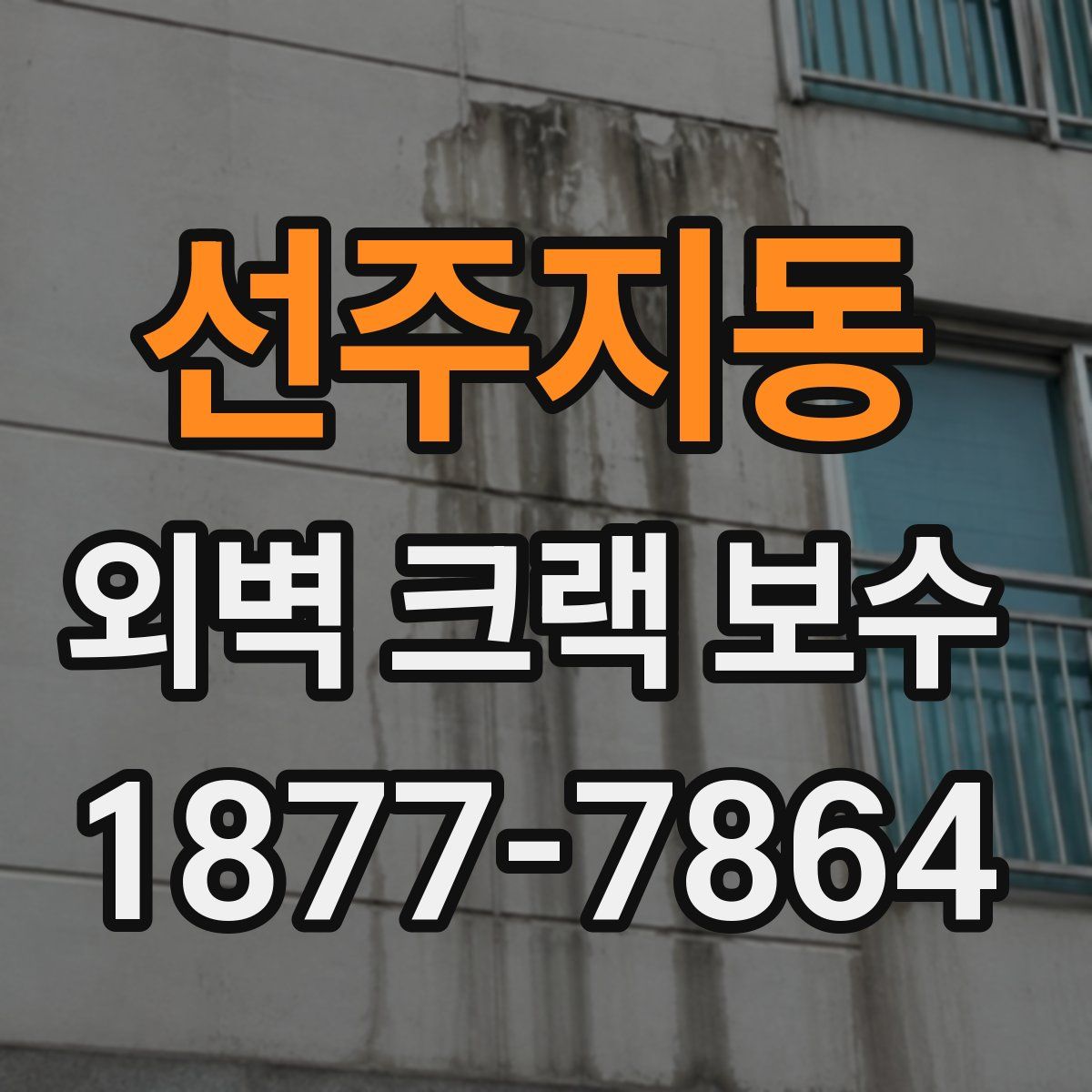 선주지동 외벽 크랙 보수