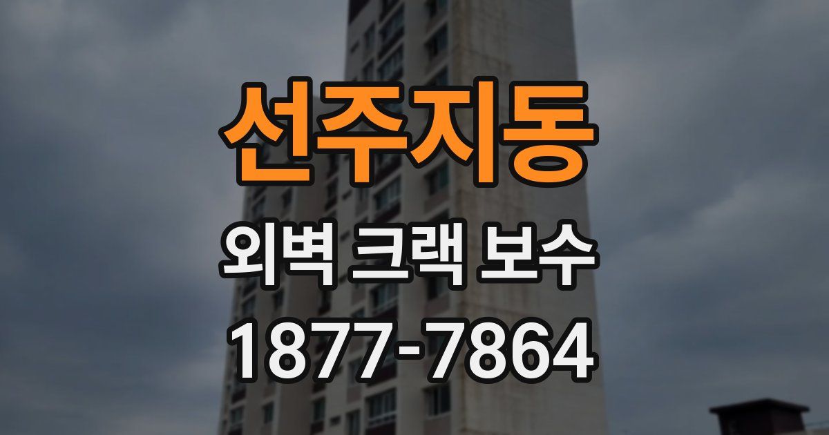 선주지동 외벽 크랙 보수