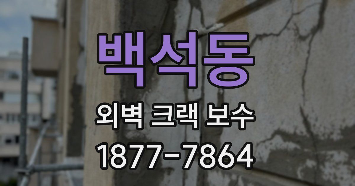 백석동 외벽 크랙 보수
