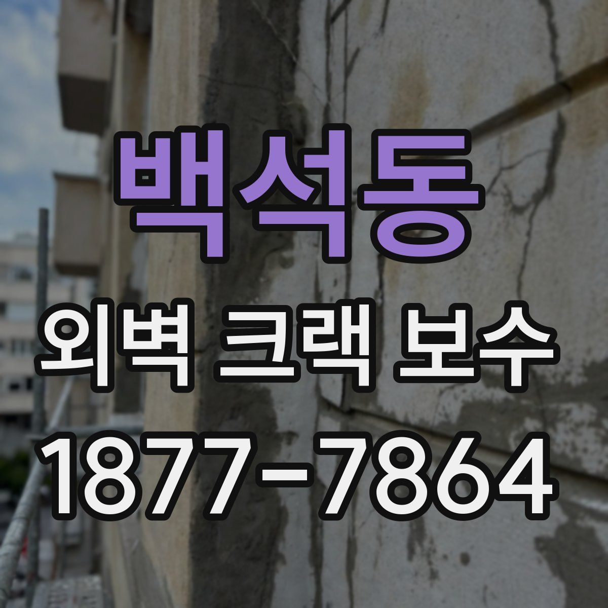 백석동 외벽 크랙 보수