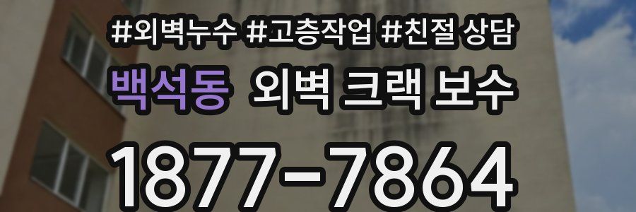 백석동 외벽 크랙 보수