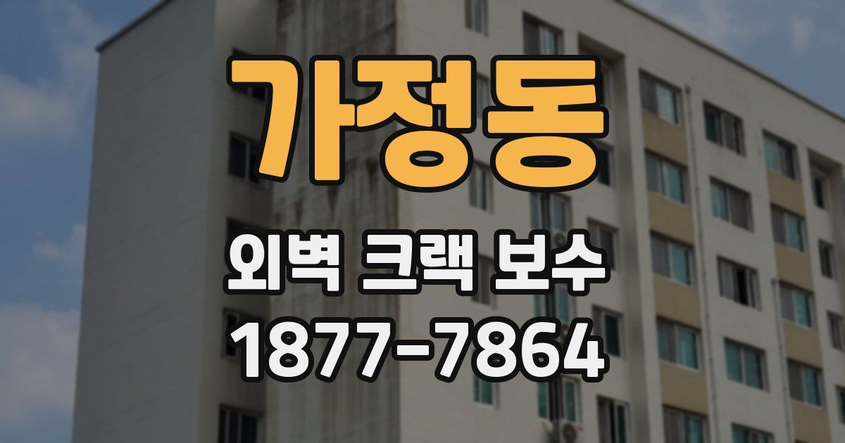 가정동 외벽 크랙 보수