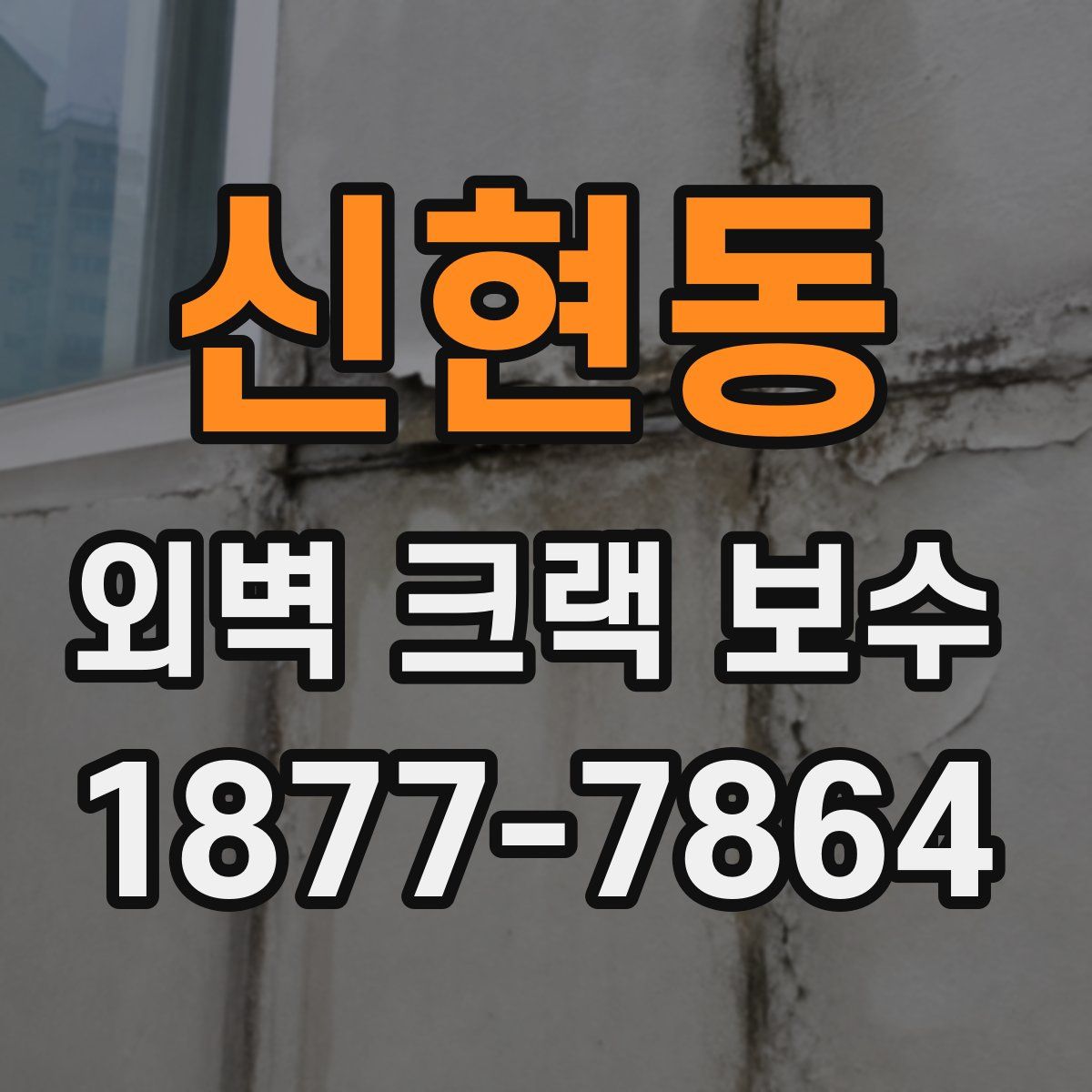 신현동 외벽 크랙 보수