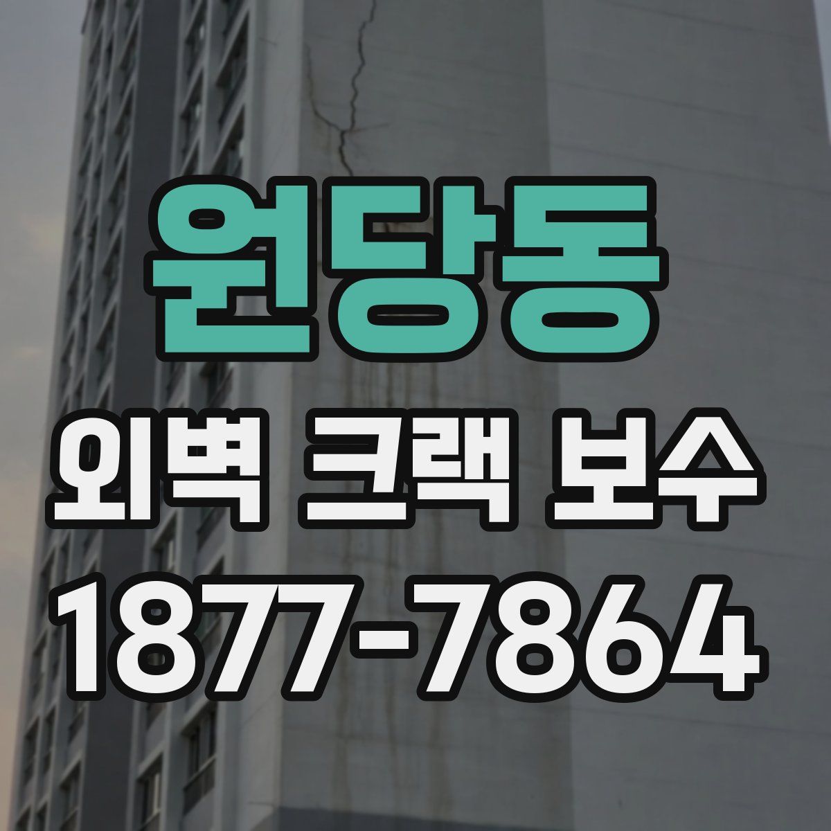 원당동 외벽 크랙 보수