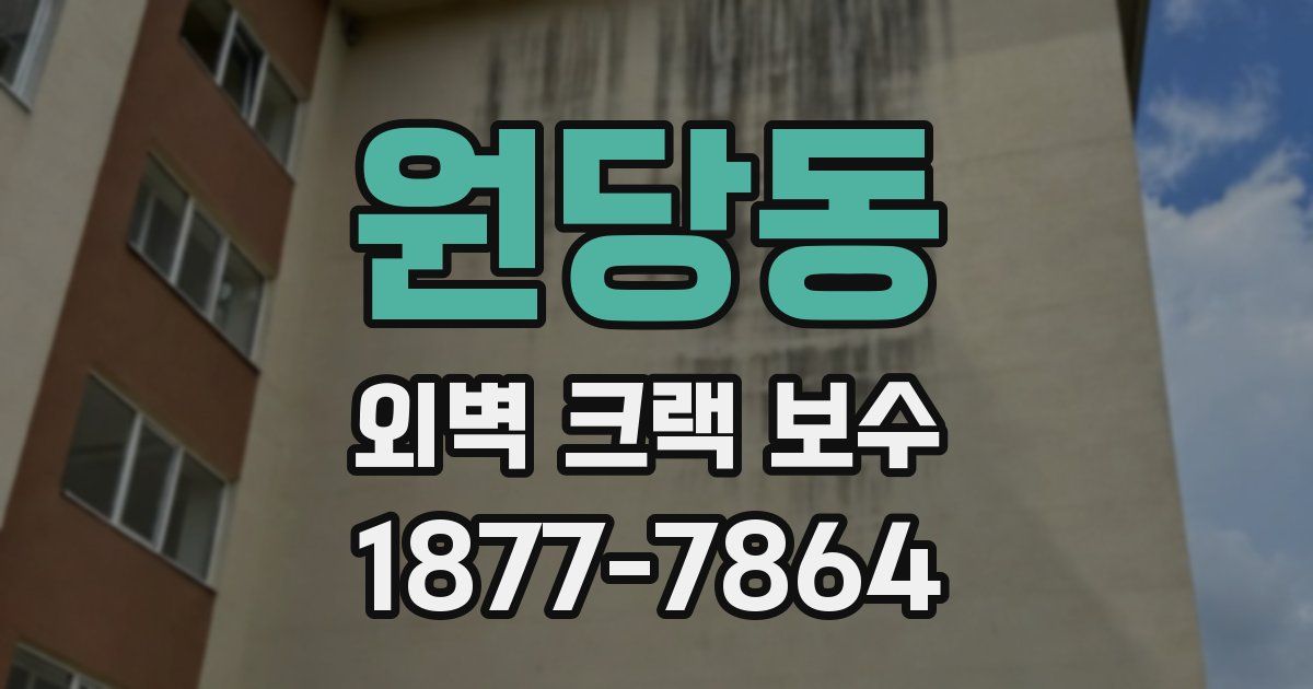 원당동 외벽 크랙 보수