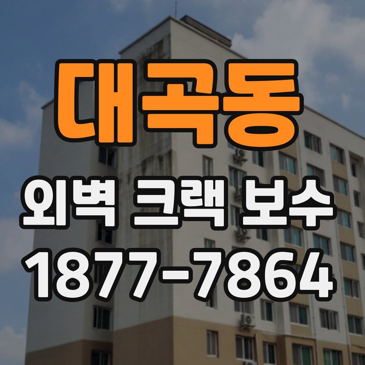 대곡동 외벽 크랙 보수