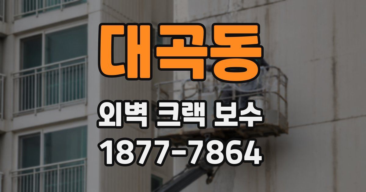 대곡동 외벽 크랙 보수