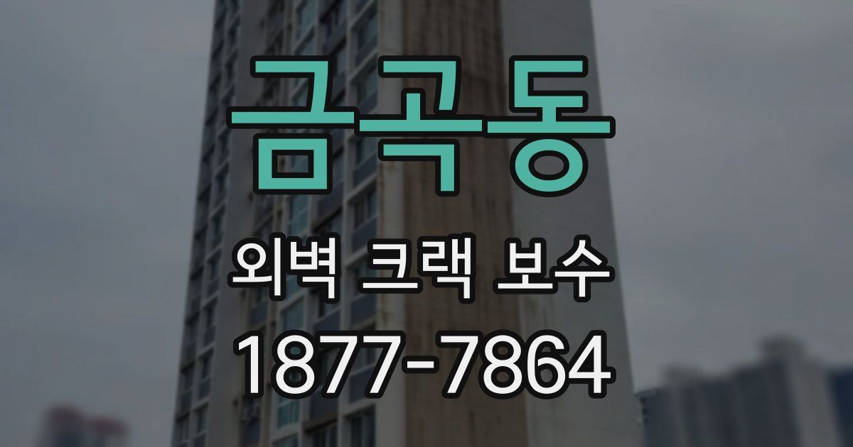 금곡동 외벽 크랙 보수