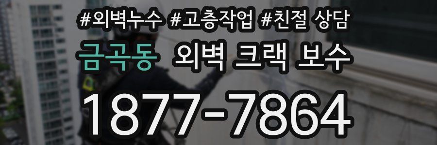 금곡동 외벽 크랙 보수