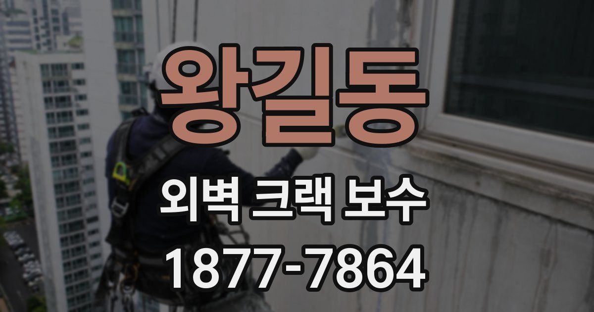 왕길동 외벽 크랙 보수