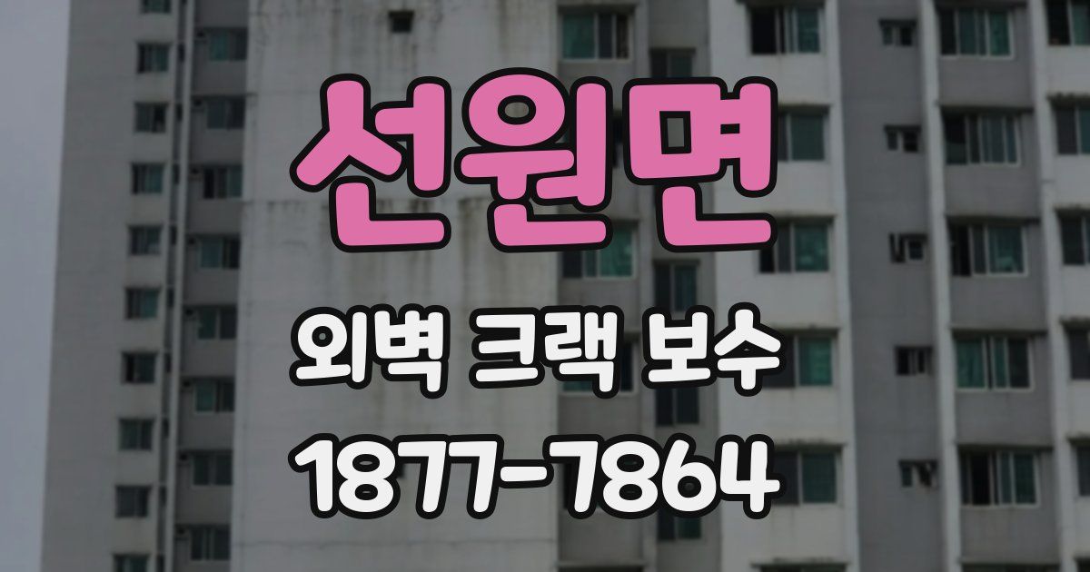 선원면 외벽 크랙 보수