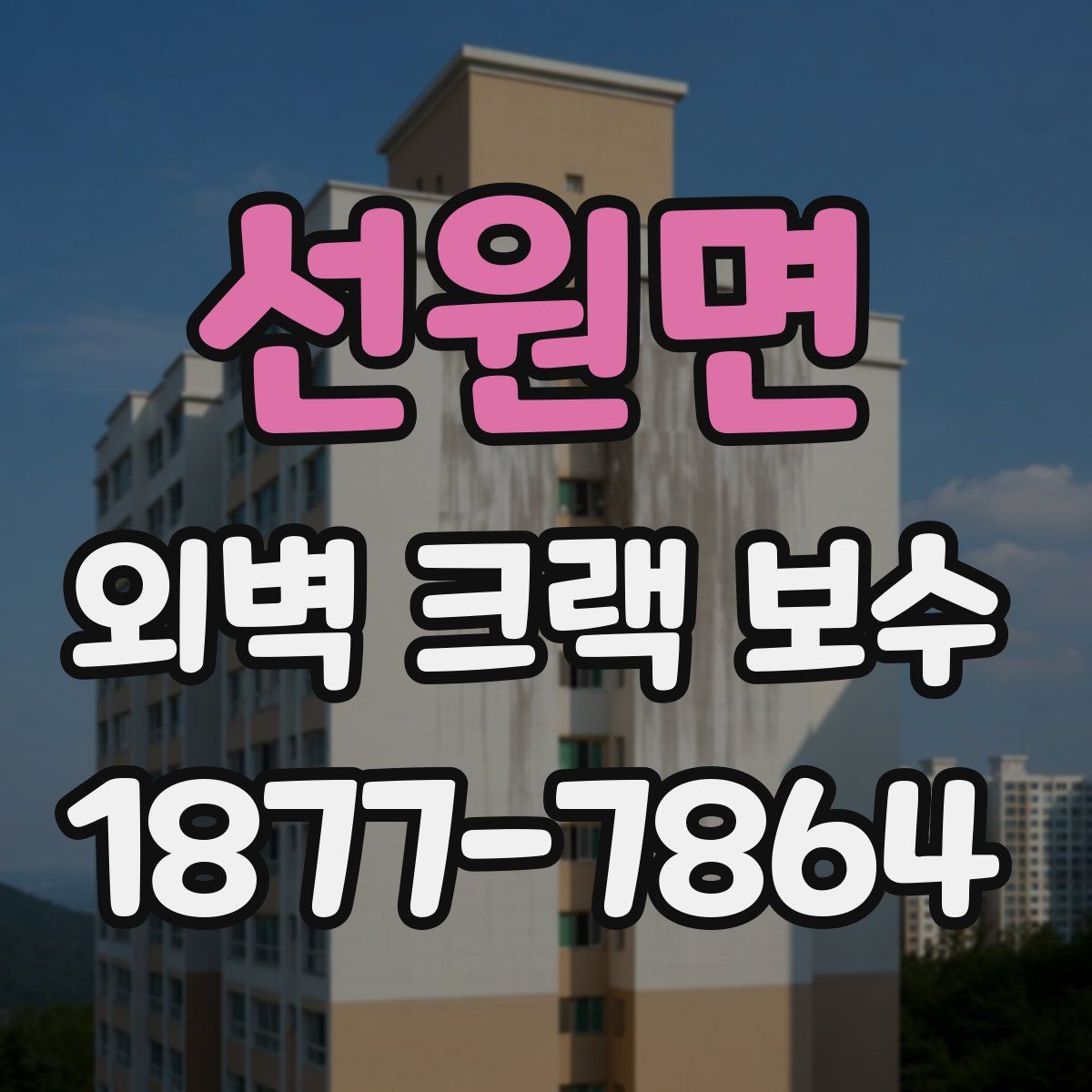 선원면 외벽 크랙 보수