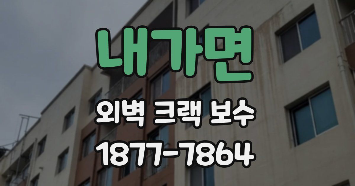 내가면 외벽 크랙 보수