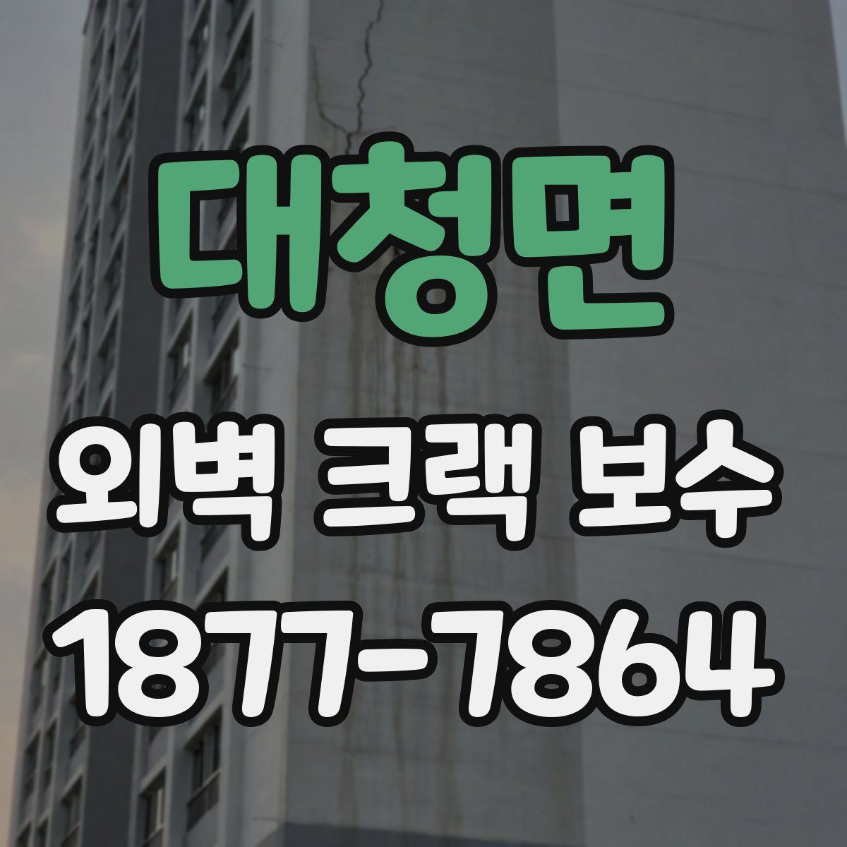대청면 외벽 크랙 보수