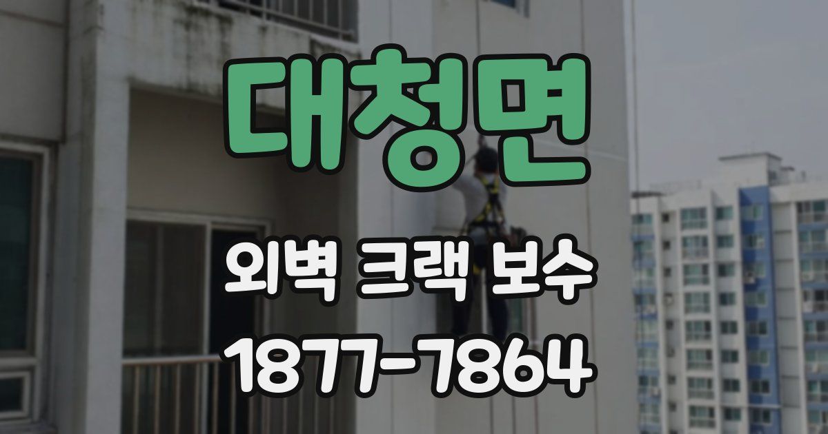 대청면 외벽 크랙 보수