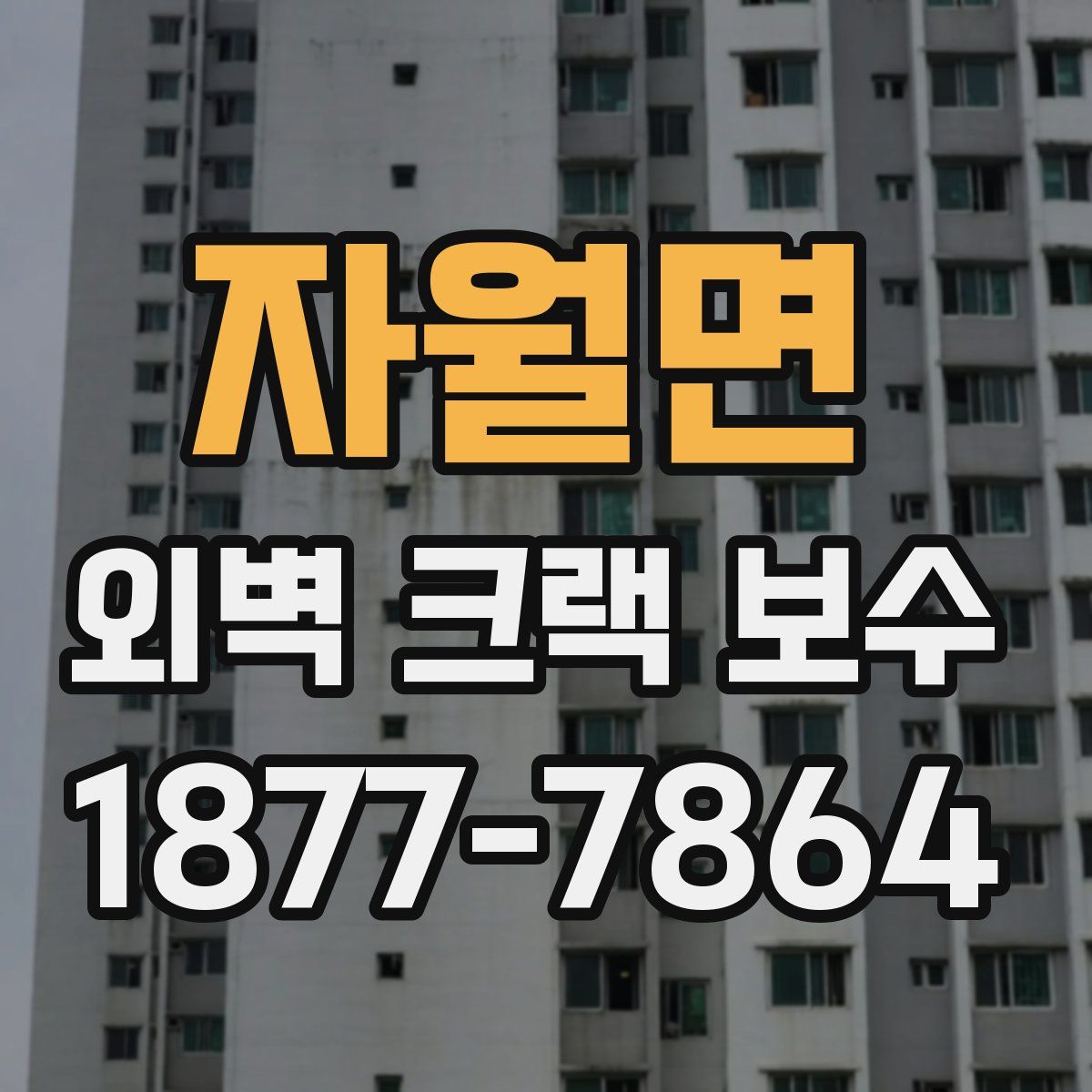 자월면 외벽 크랙 보수