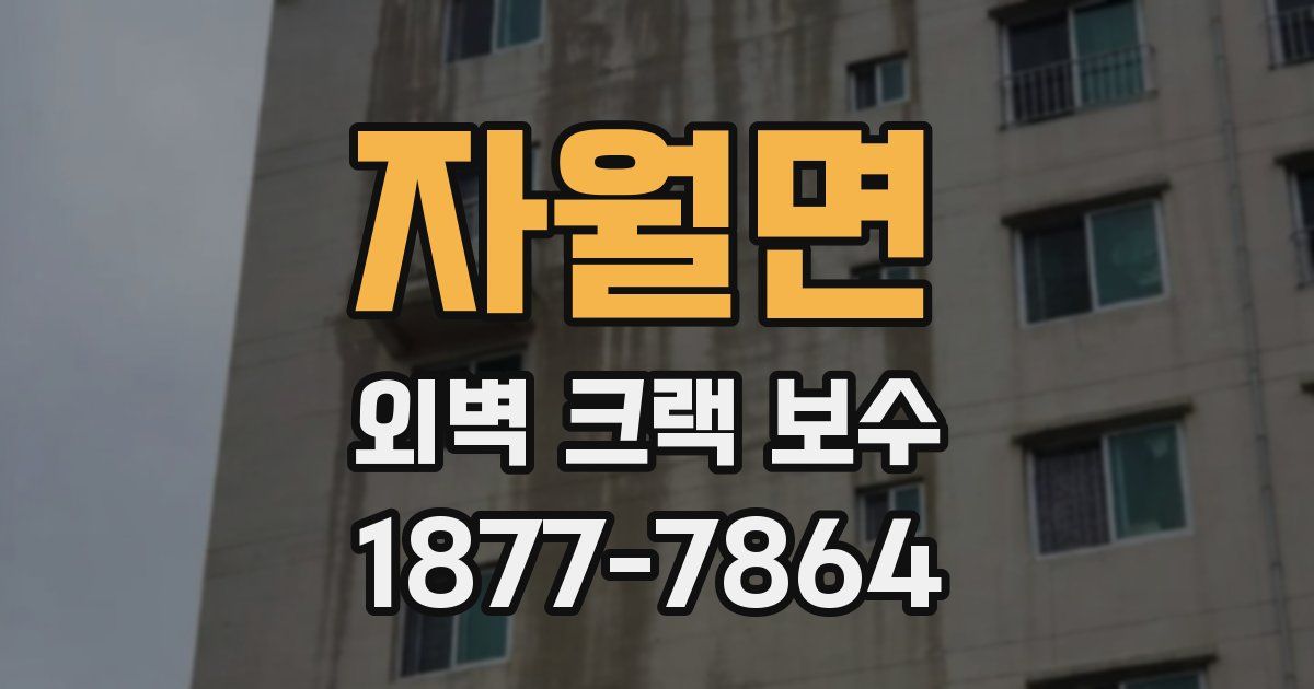 자월면 외벽 크랙 보수