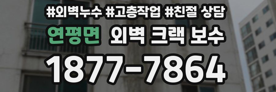 연평면 외벽 크랙 보수