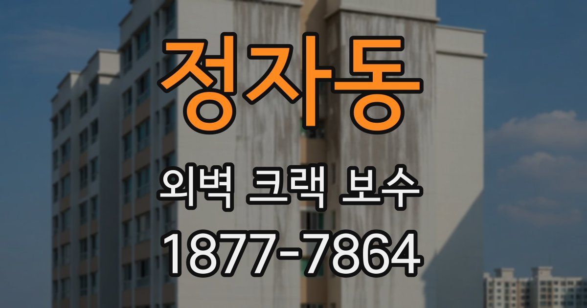 정자동 외벽 크랙 보수