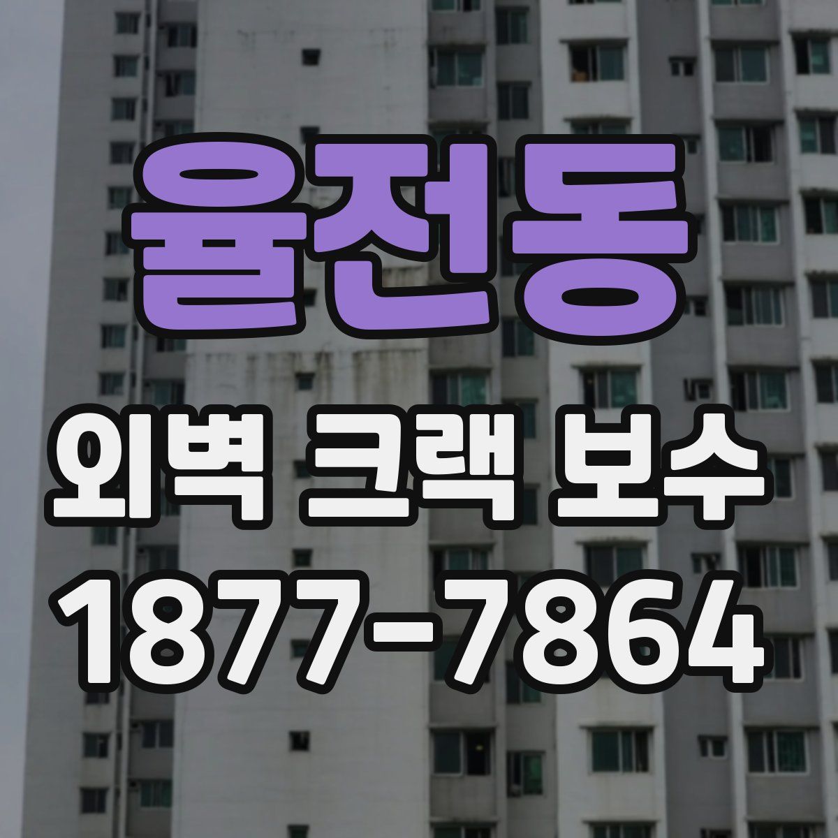 율전동 외벽 크랙 보수