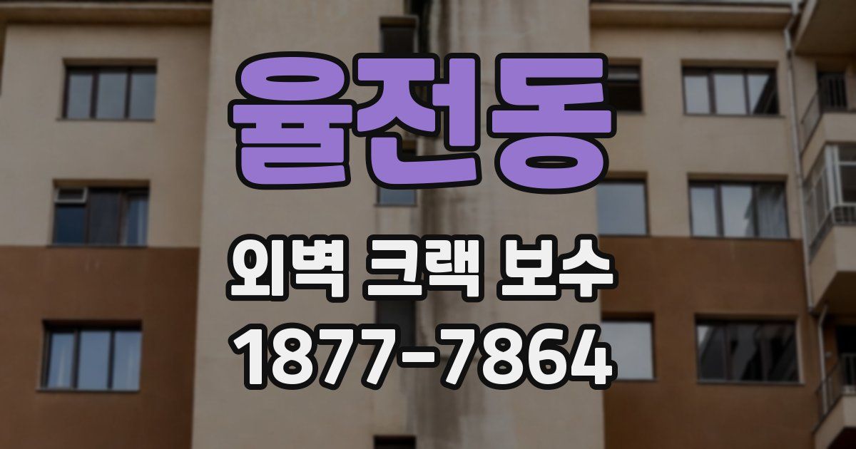율전동 외벽 크랙 보수
