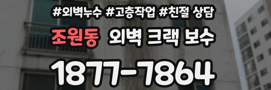 조원동 외벽 크랙 보수