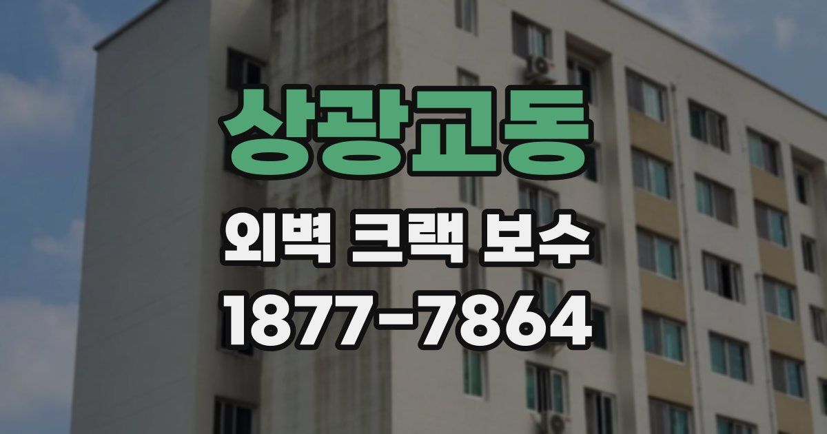 상광교동 외벽 크랙 보수