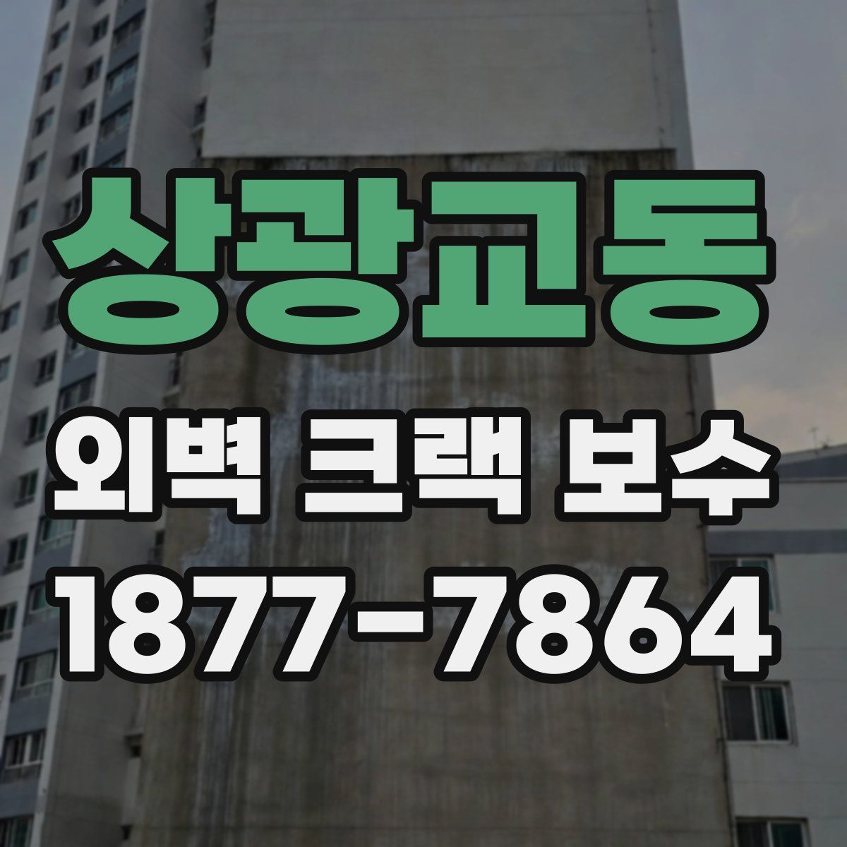 상광교동 외벽 크랙 보수