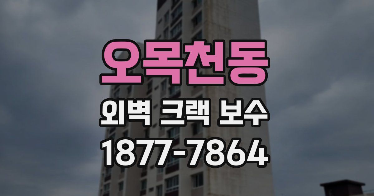 오목천동 외벽 크랙 보수
