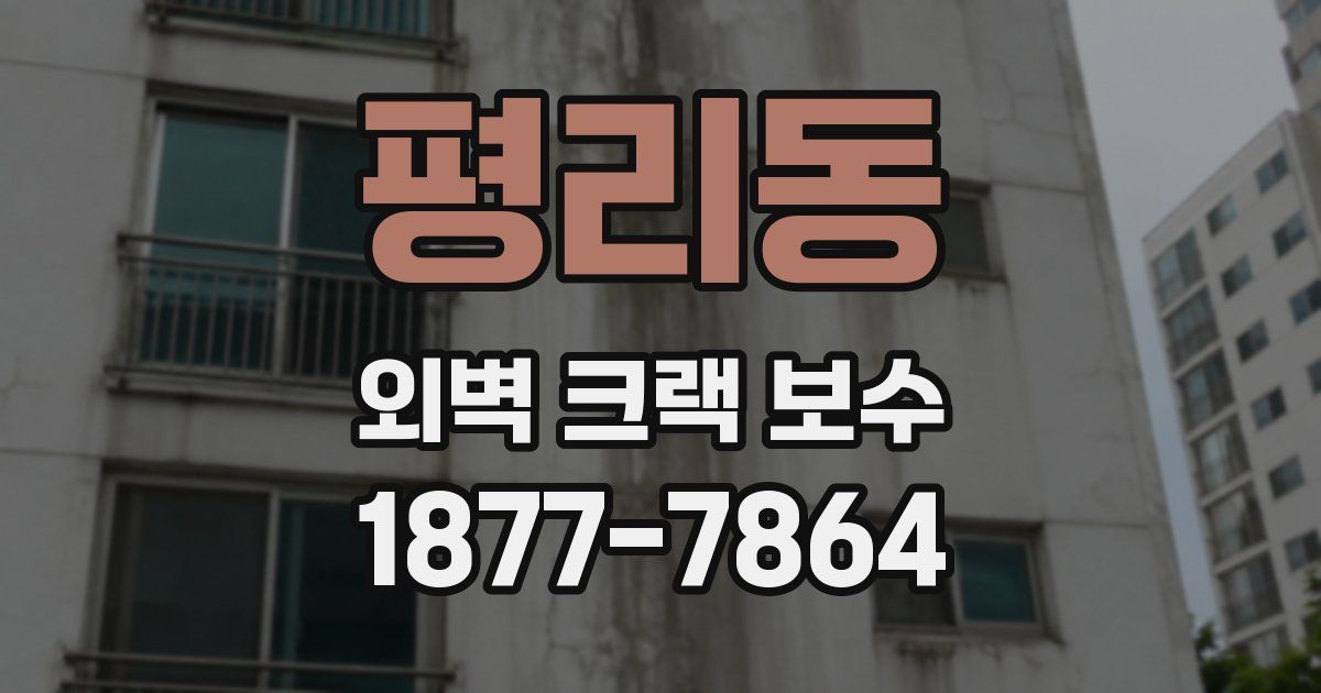 평리동 외벽 크랙 보수