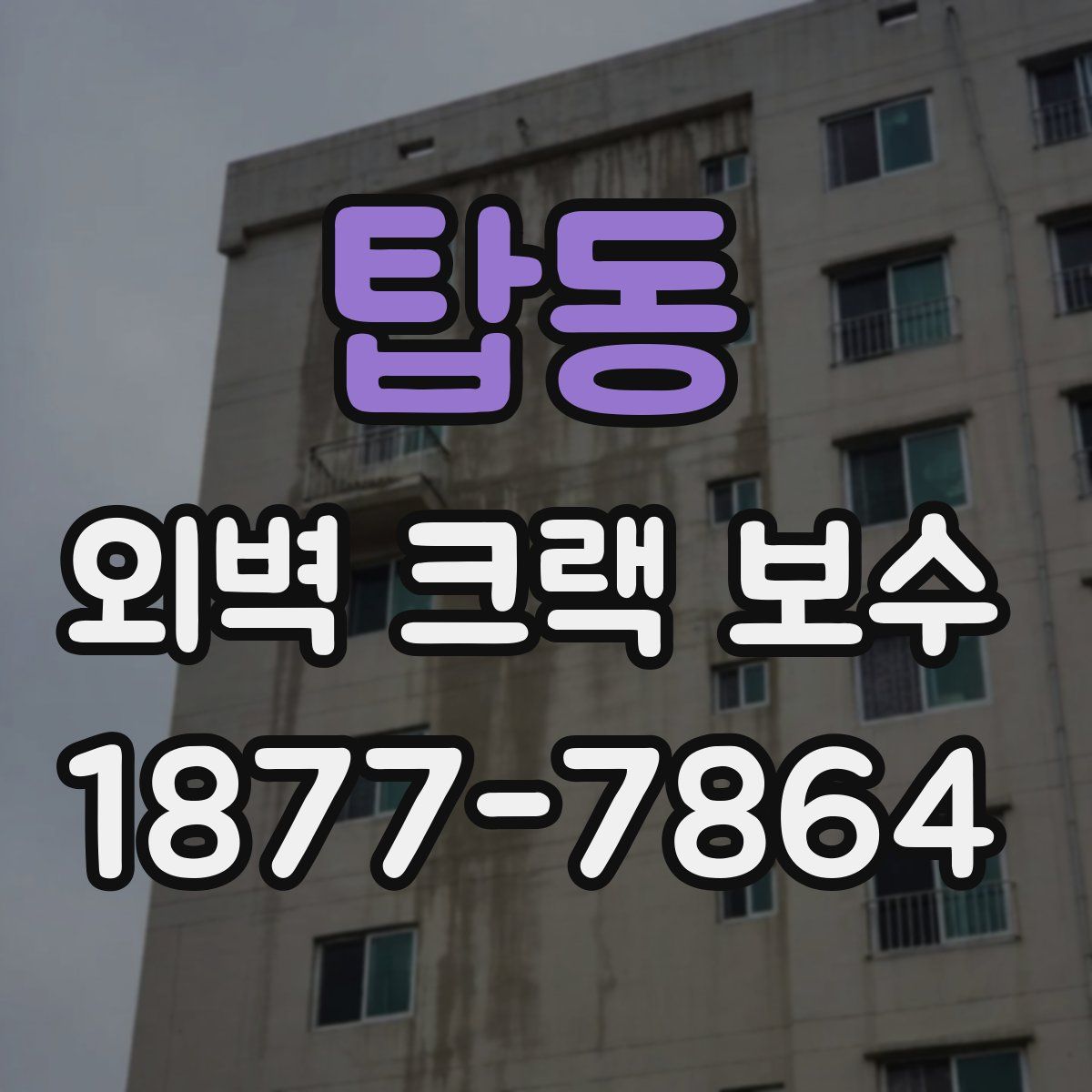 탑동 외벽 크랙 보수