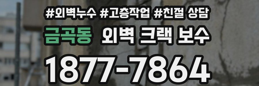 금곡동 외벽 크랙 보수