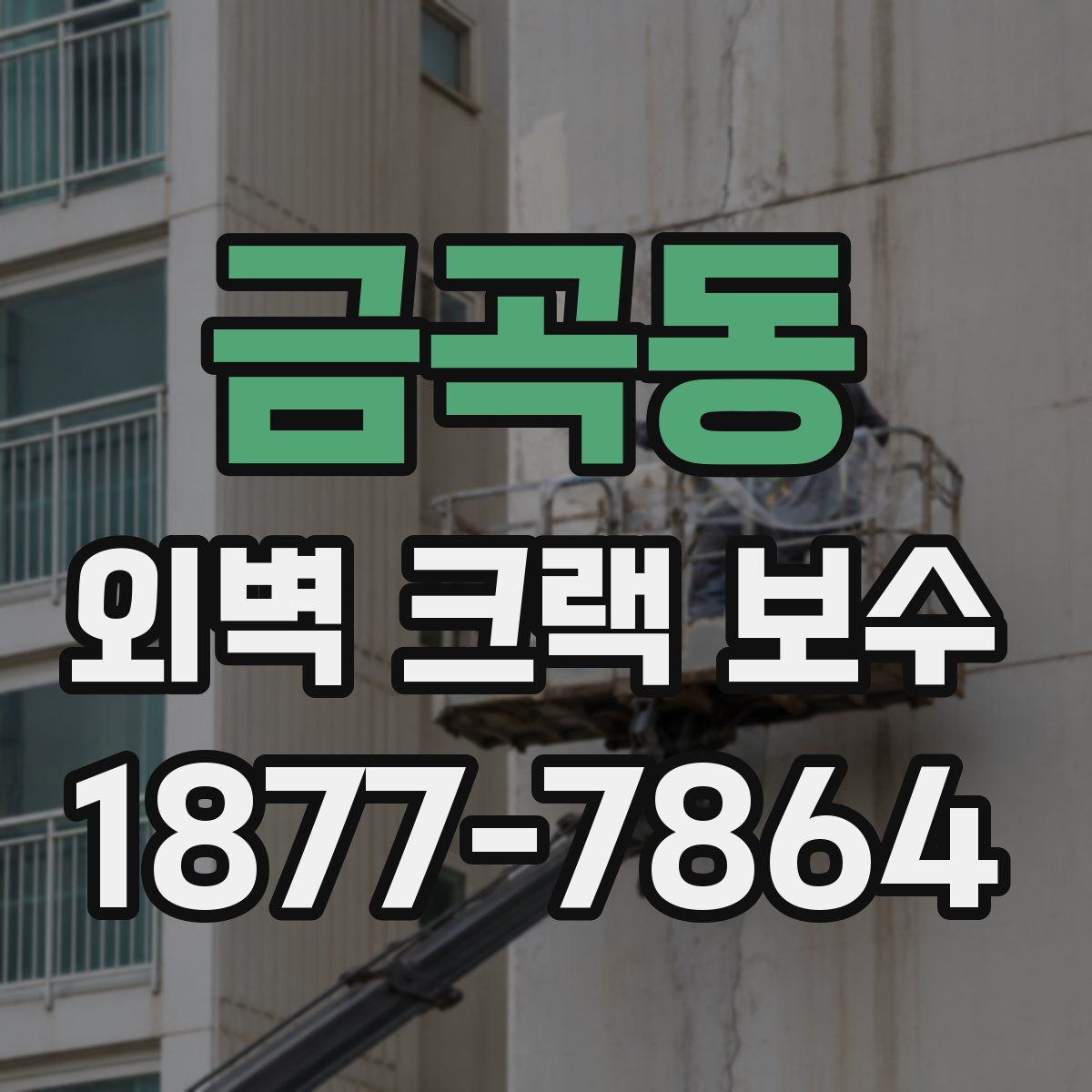 금곡동 외벽 크랙 보수