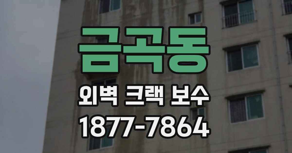 금곡동 외벽 크랙 보수