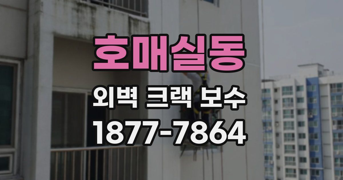호매실동 외벽 크랙 보수
