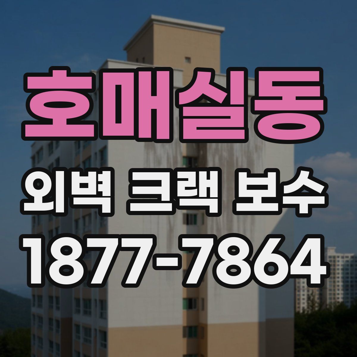호매실동 외벽 크랙 보수