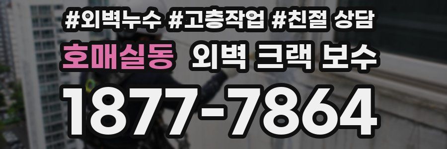 호매실동 외벽 크랙 보수