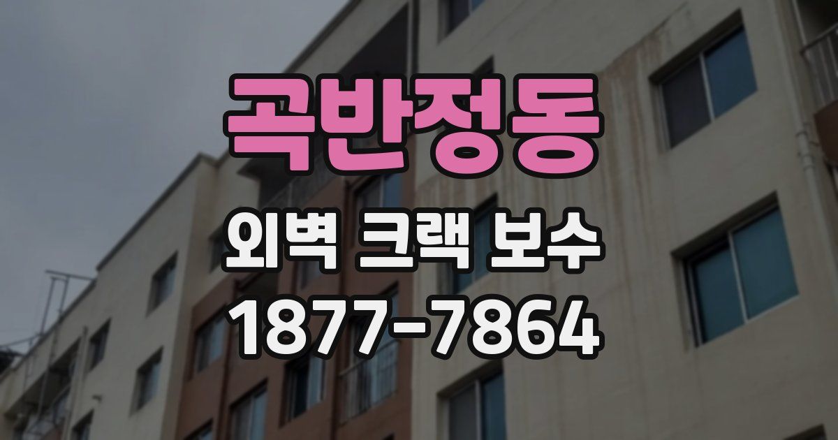 곡반정동 외벽 크랙 보수