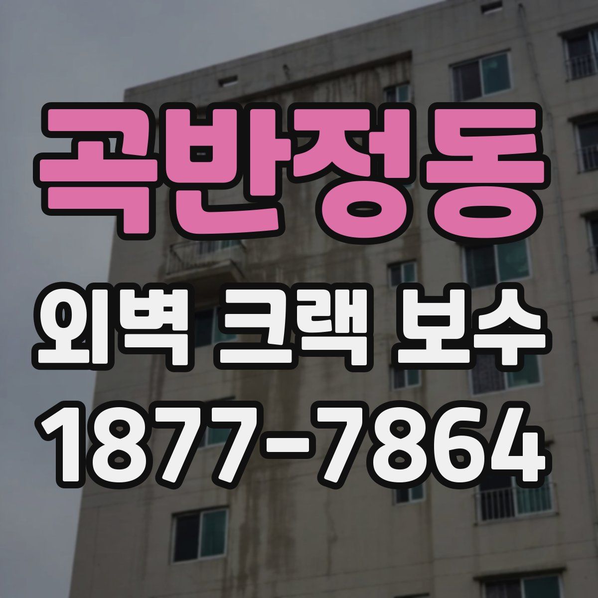 곡반정동 외벽 크랙 보수