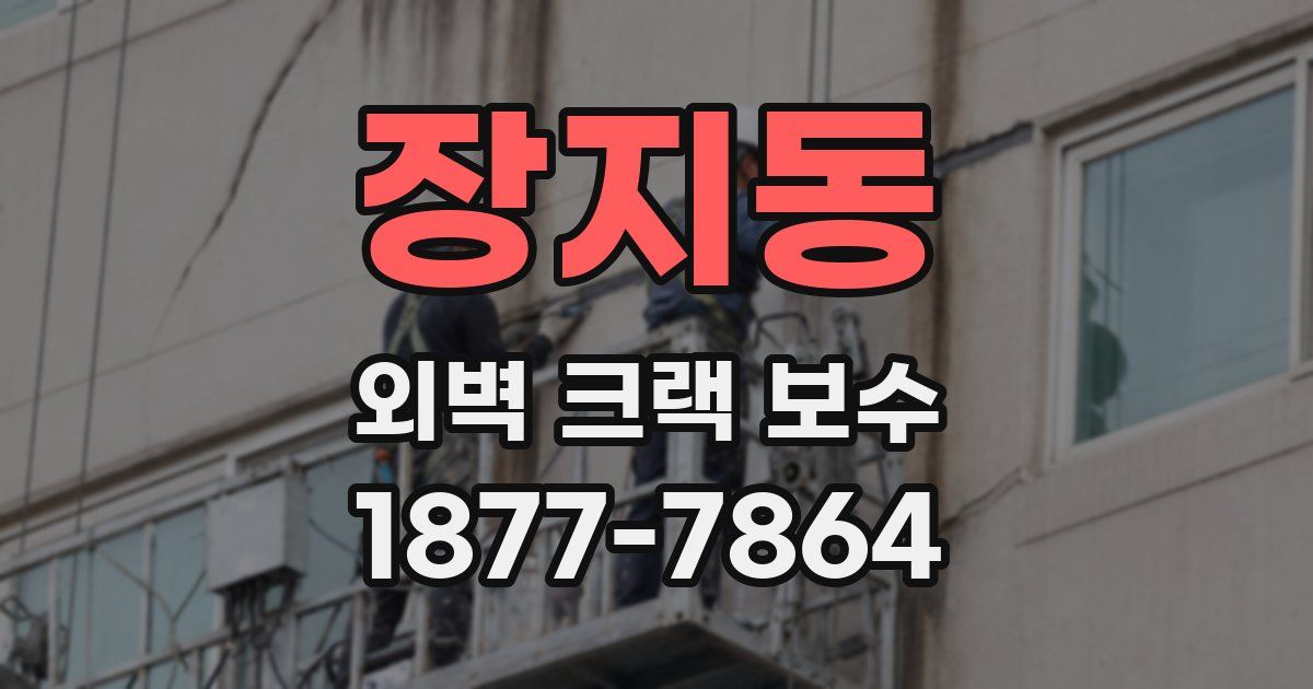 장지동 외벽 크랙 보수