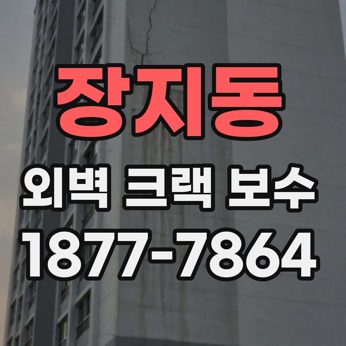 장지동 외벽 크랙 보수