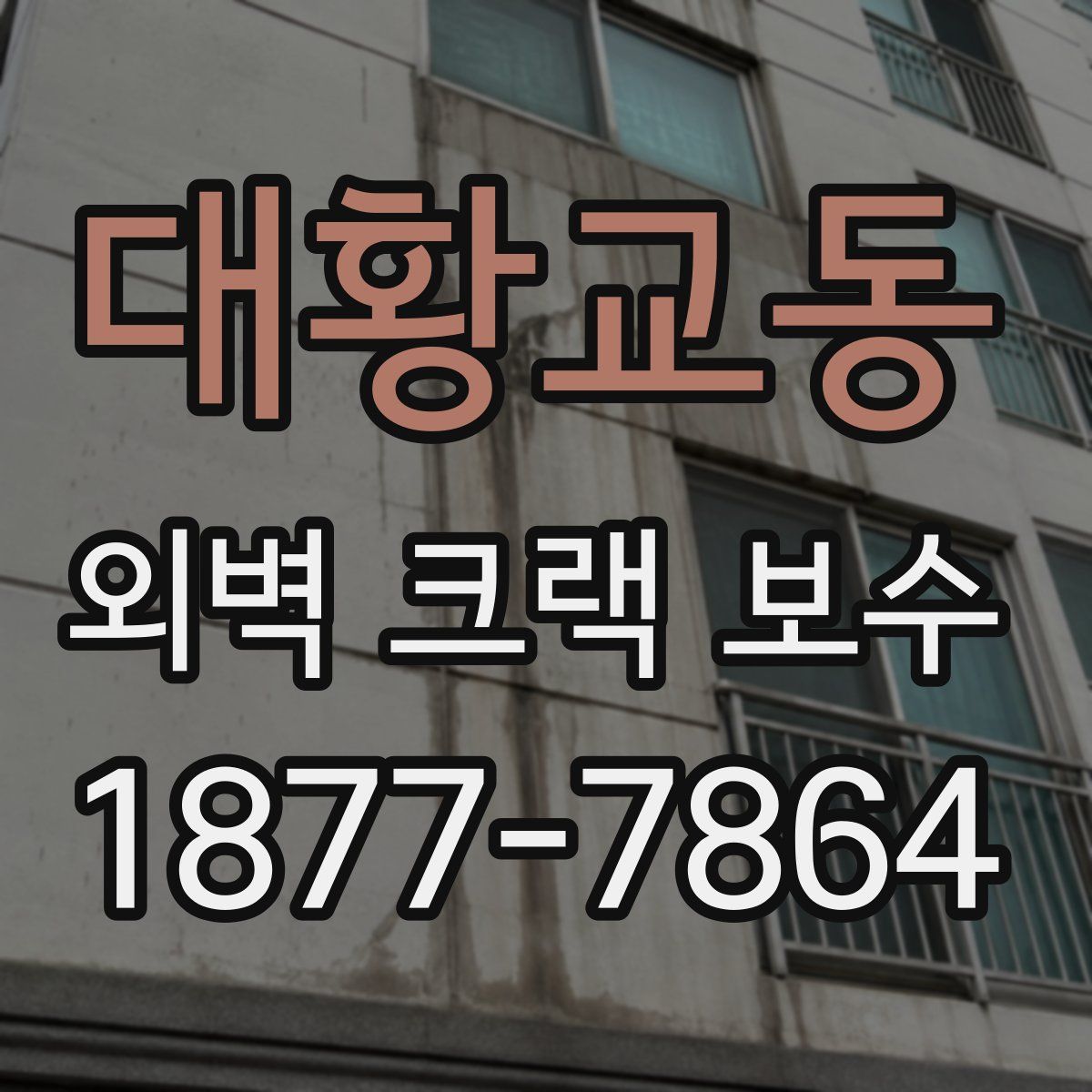 대황교동 외벽 크랙 보수