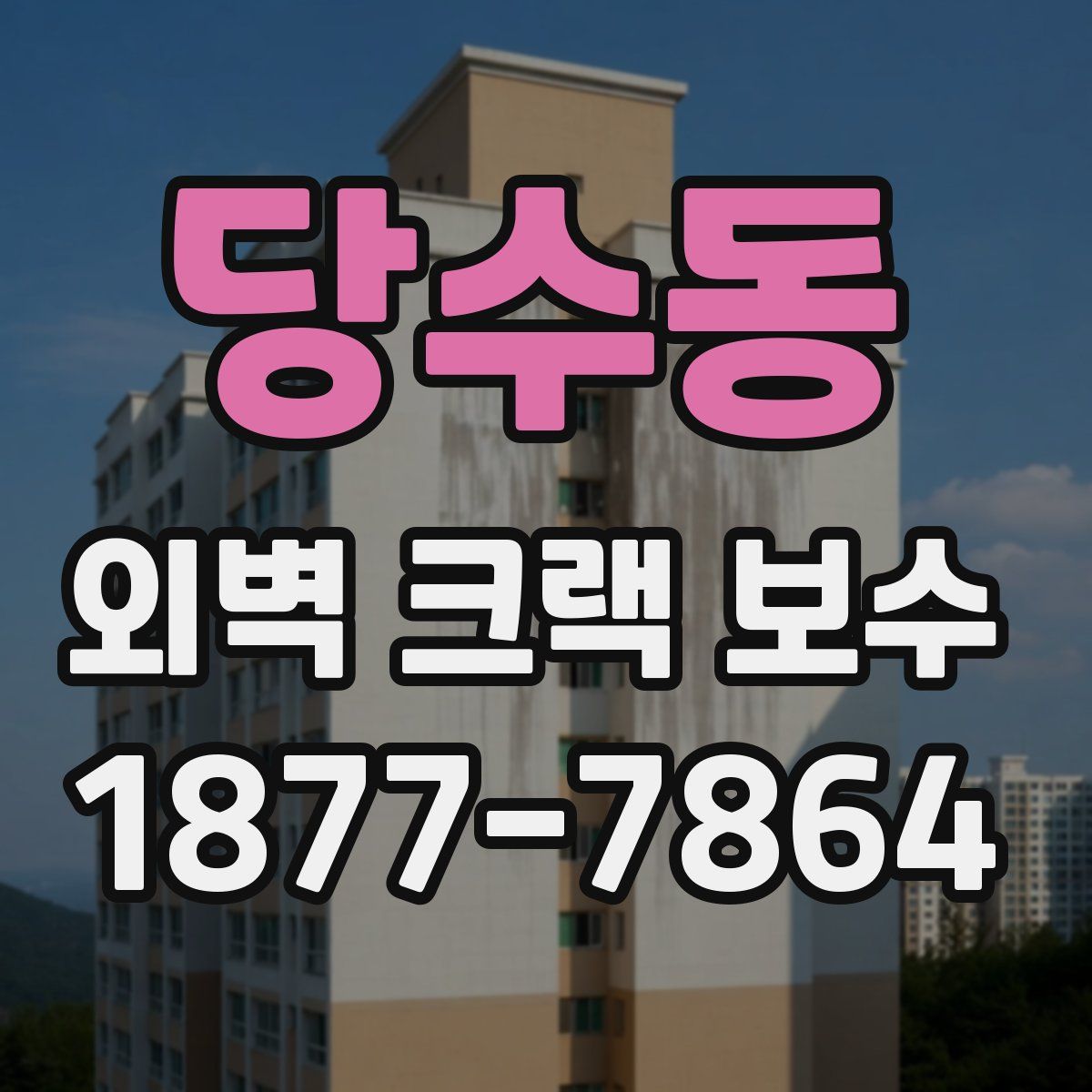 당수동 외벽 크랙 보수
