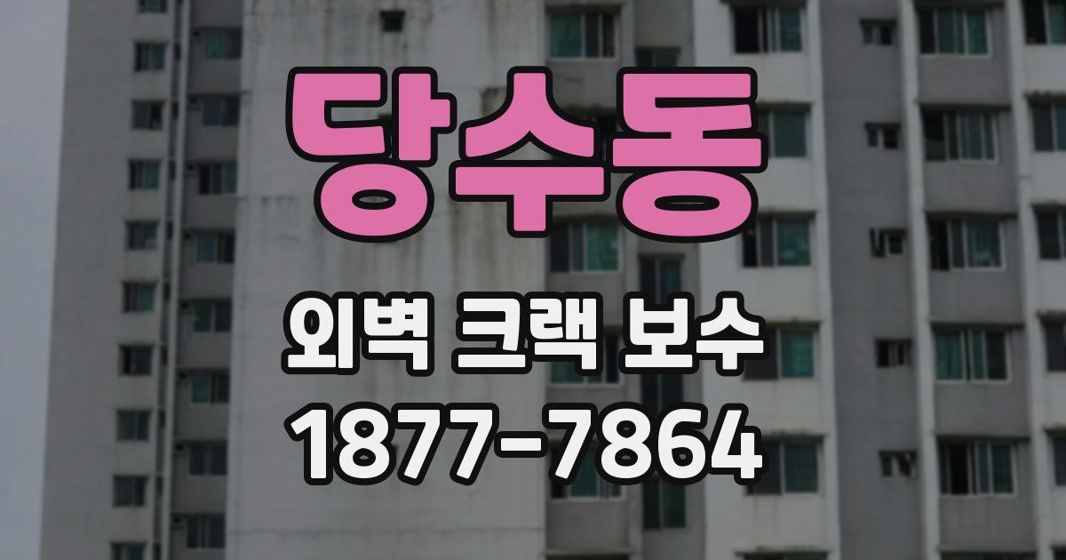 당수동 외벽 크랙 보수