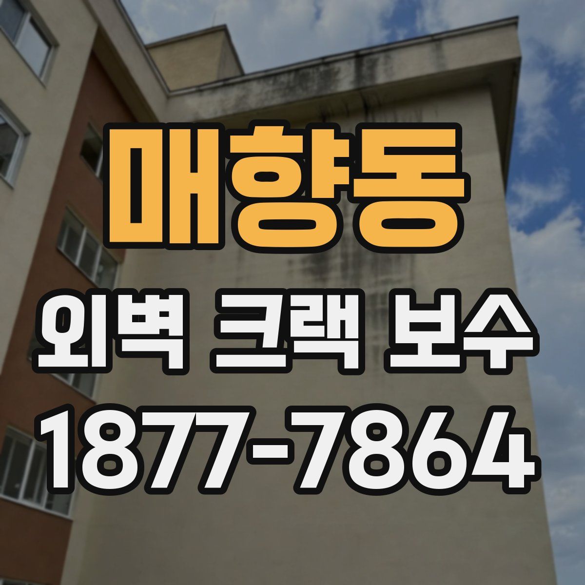 매향동 외벽 크랙 보수