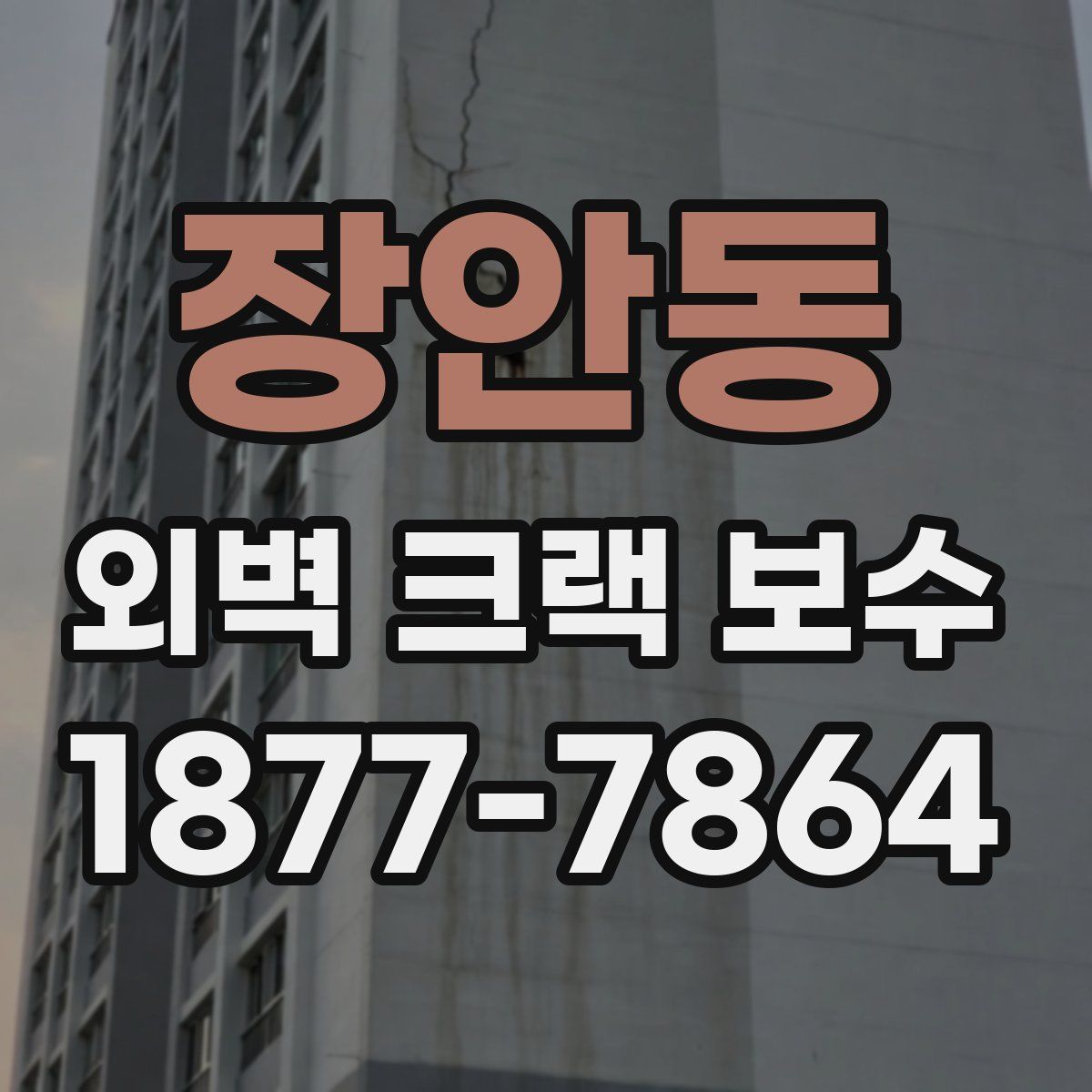 장안동 외벽 크랙 보수